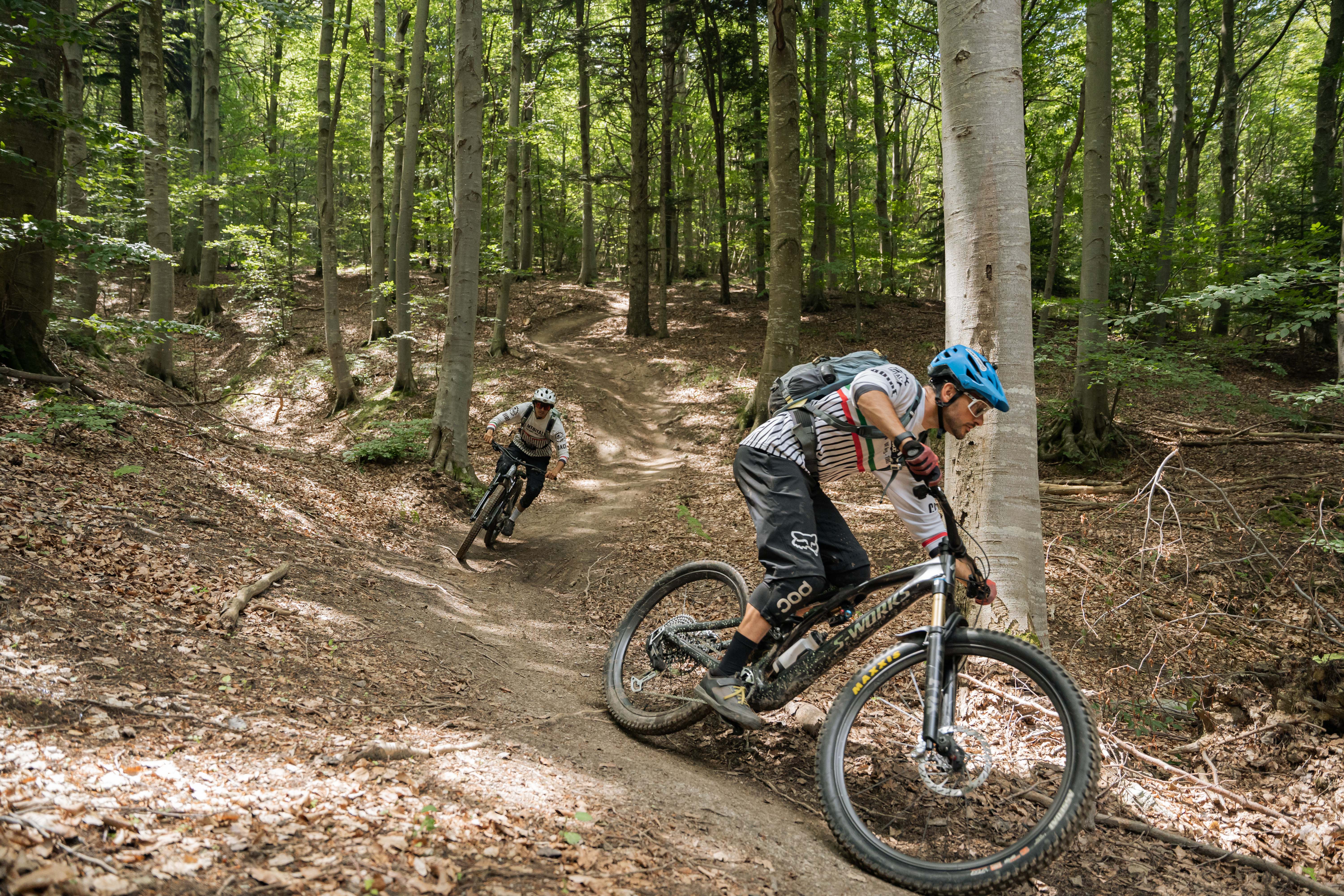 FINALE LEGENDS: The Essential Experience