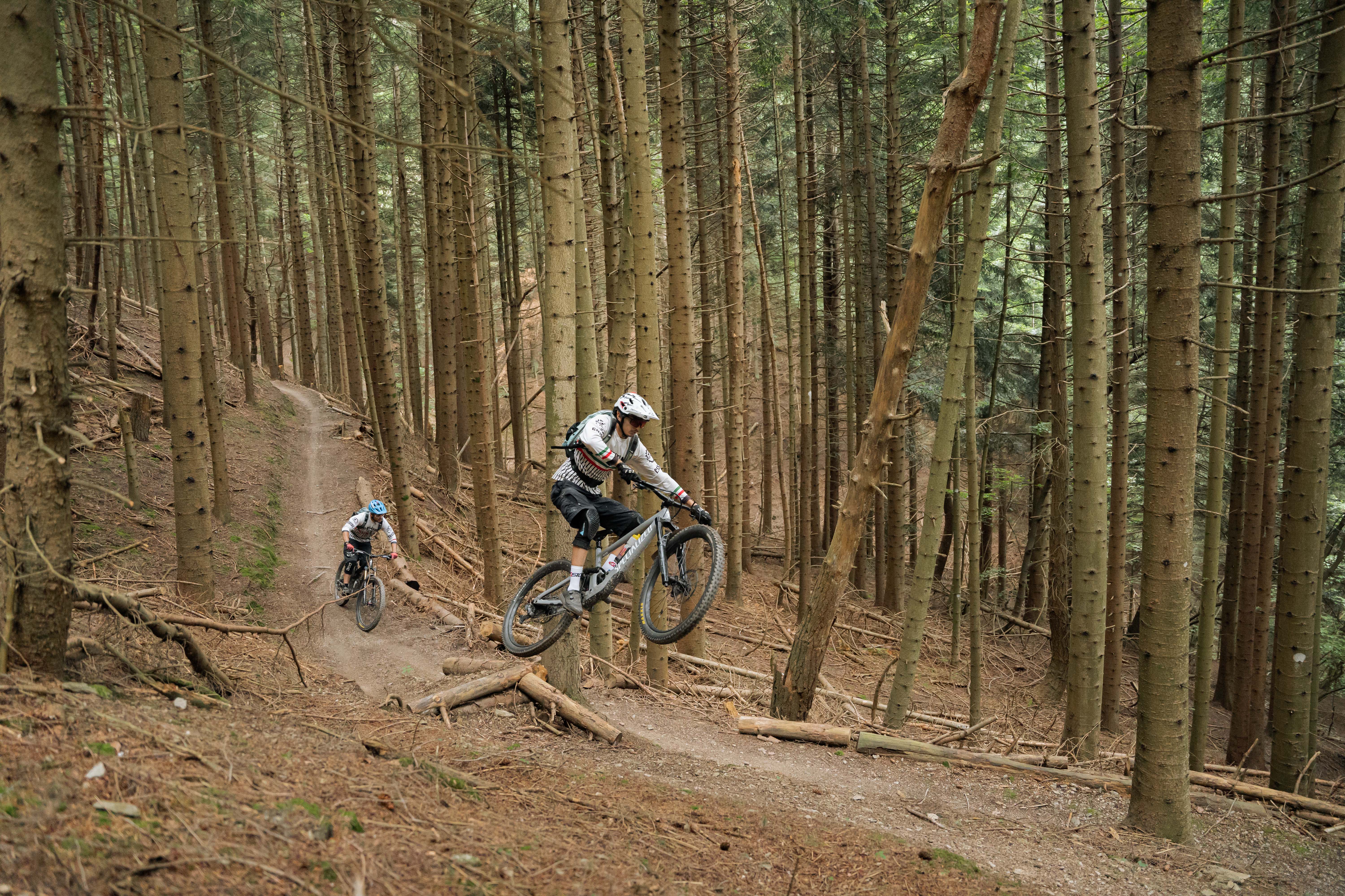 BACKCOUNTRY CASTELVECCHIO "REVERSE"