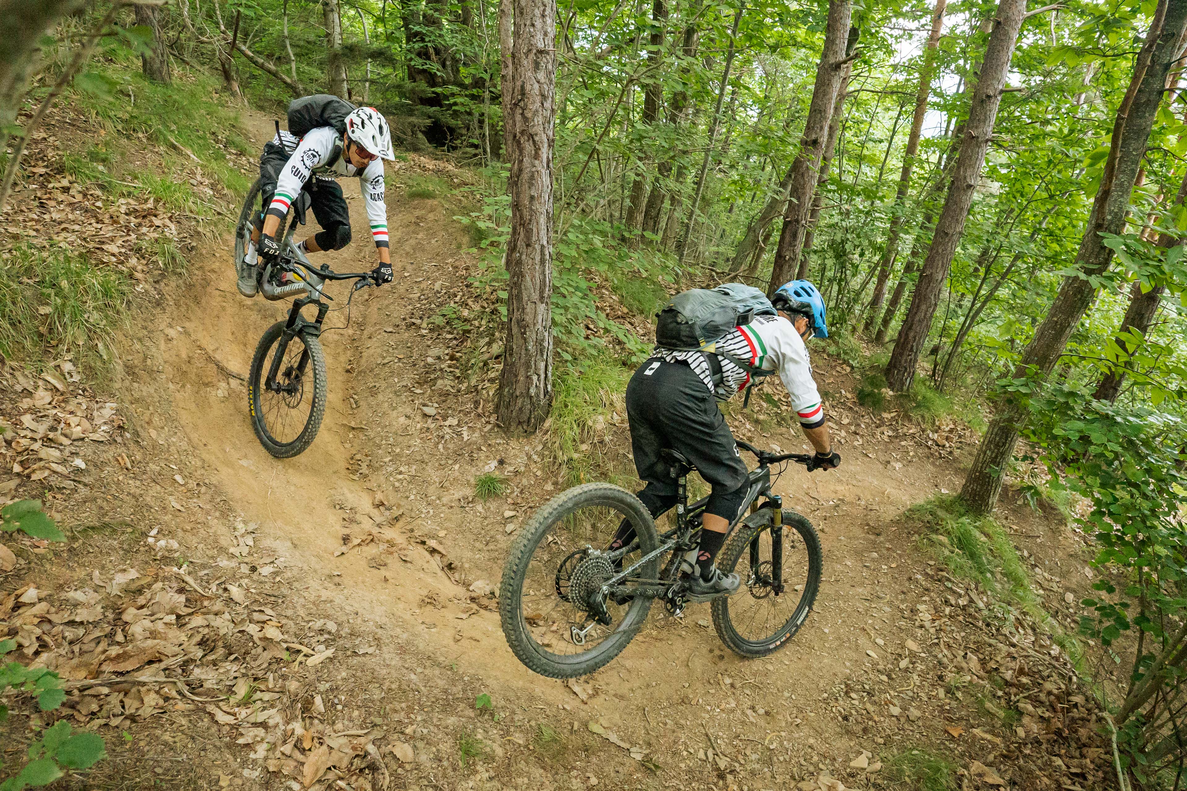 BACKCOUNTRY OSIGLIA: The Flow Forest