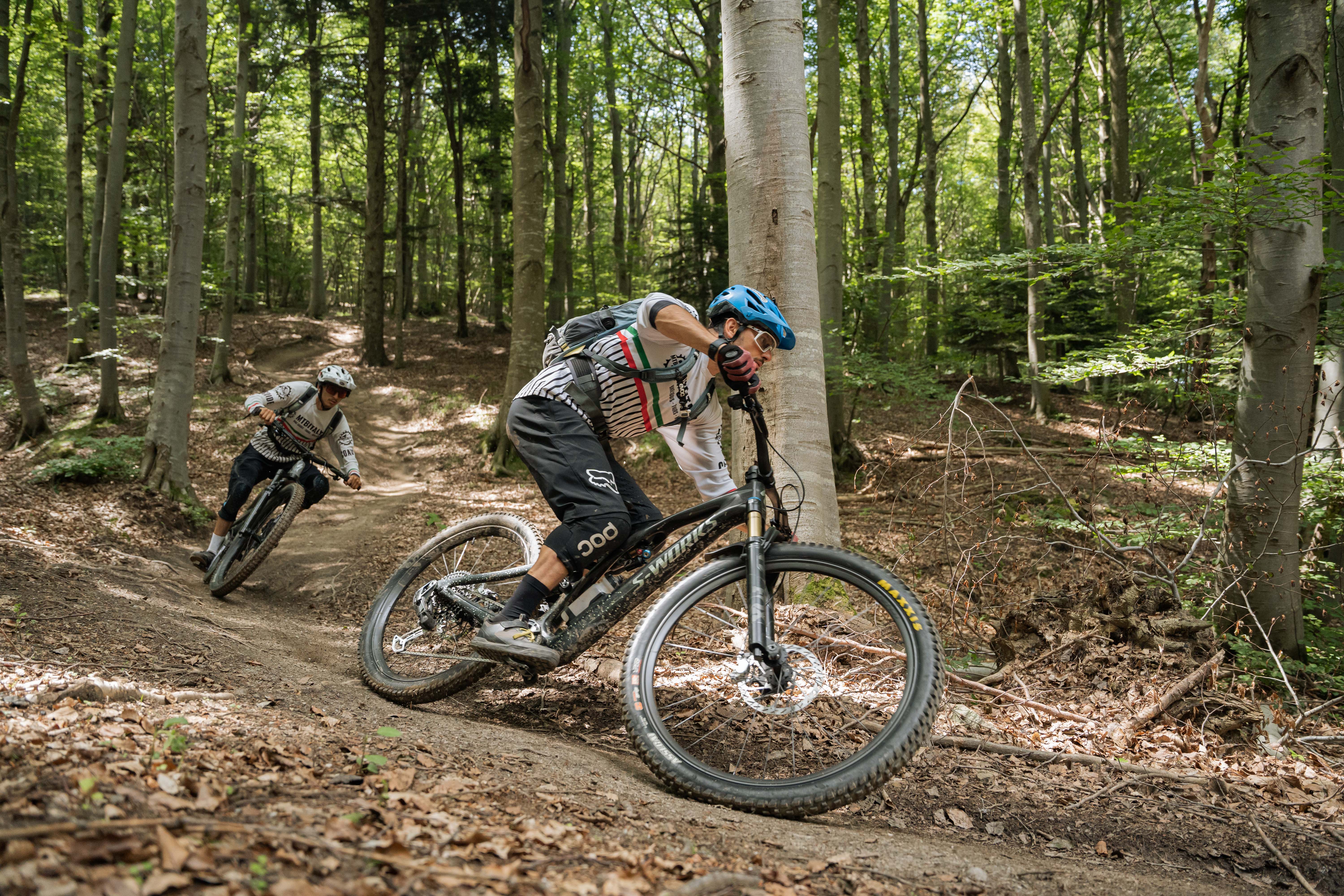 BACKCOUNTRY CASTELVECCHIO "REVERSE"