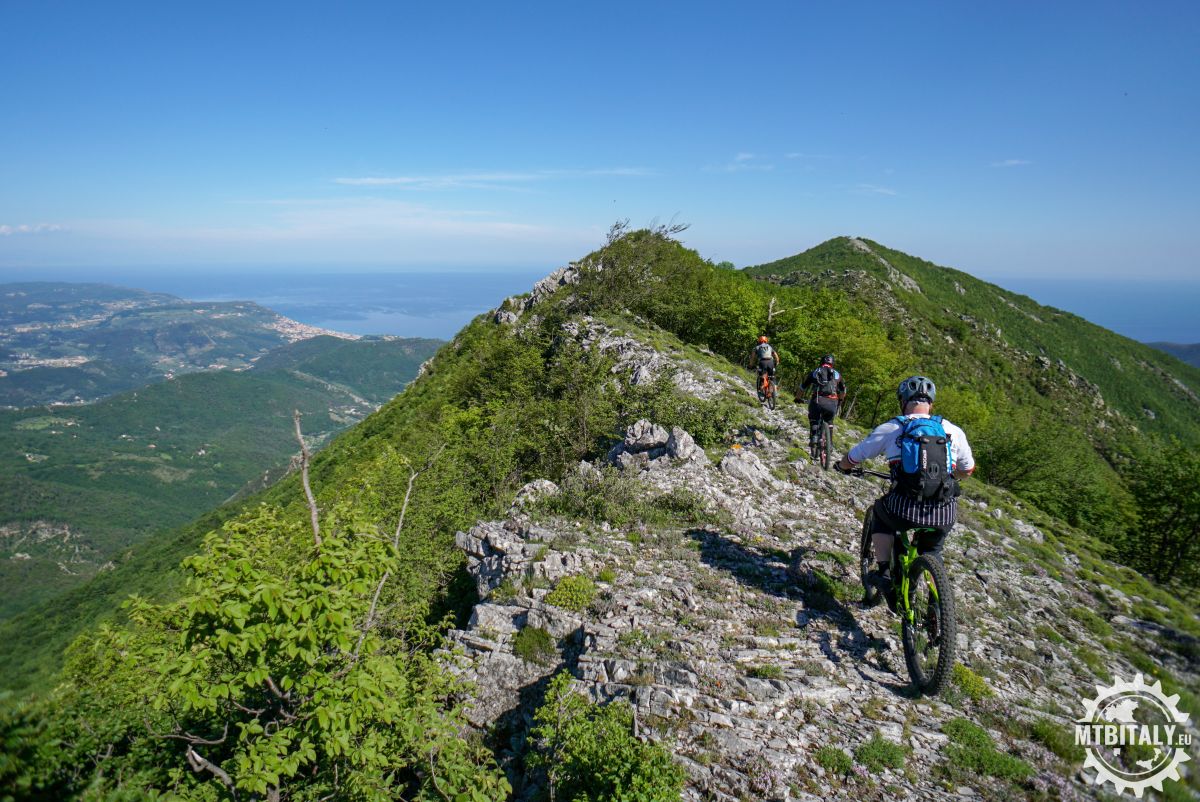 BLUE OCEAN: The Coast Tour 