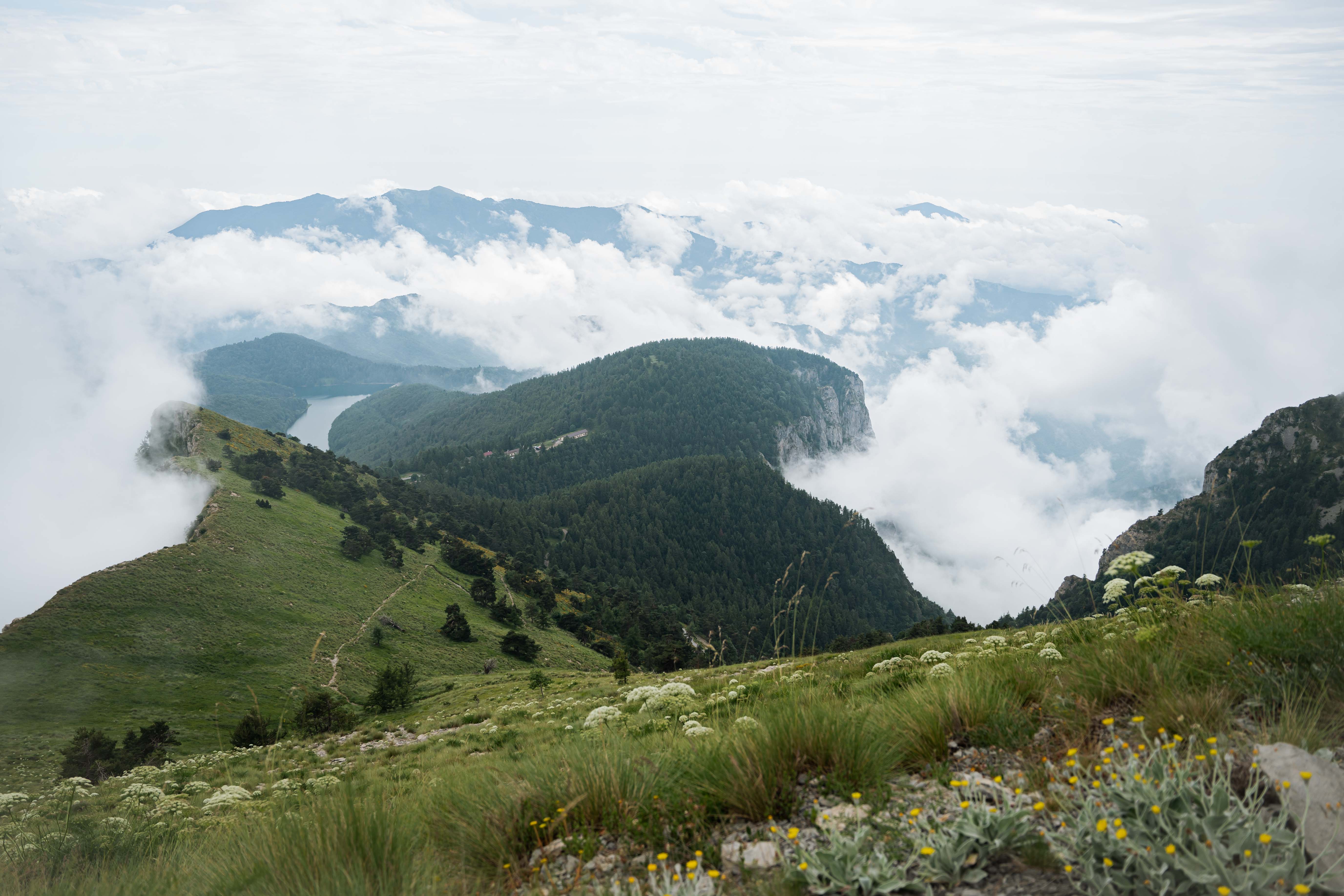 BACKCOUNTRY CASTELVECCHIO "REVERSE"