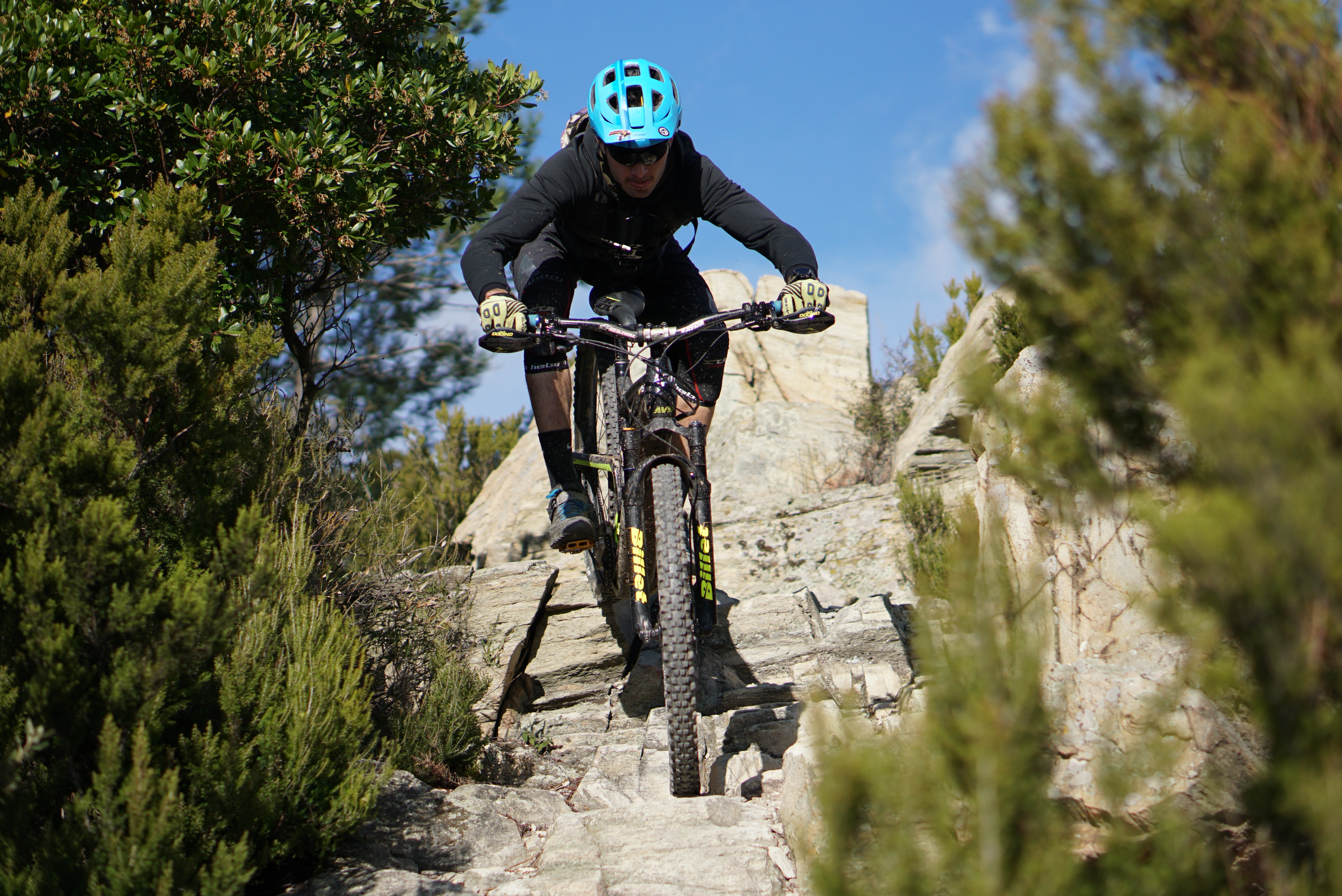 BLUE OCEAN: The Coast Tour 