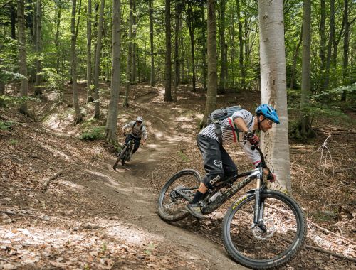 FINALE LEGENDS: The Essential Experience