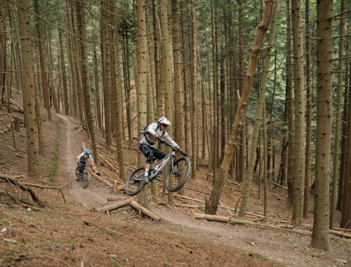 BACKCOUNTRY CASTELVECCHIO "REVERSE"