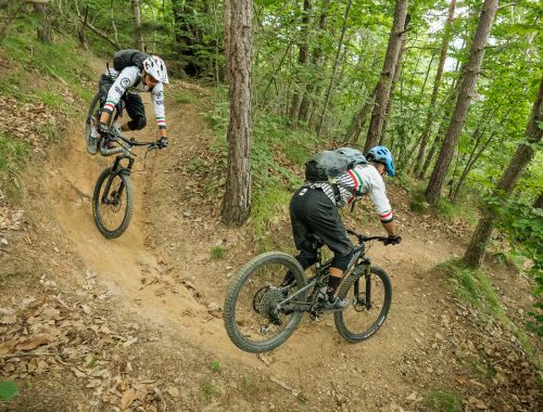 BACKCOUNTRY OSIGLIA: The Flow Forest