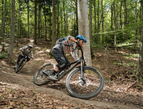 BACKCOUNTRY CASTELVECCHIO "REVERSE"