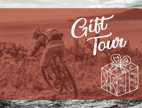 GIVE AN UNFORGETTABLE EMOTION TO A MOUNTAIN BIKE ENTHUSIAST - 