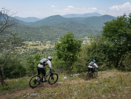 BACKCOUNTRY CASTELVECCHIO "REVERSE"