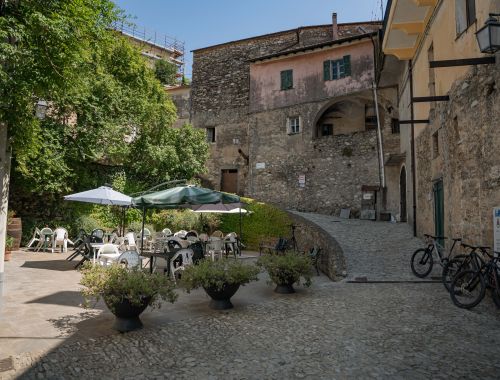 BACKCOUNTRY CASTELVECCHIO "REVERSE"