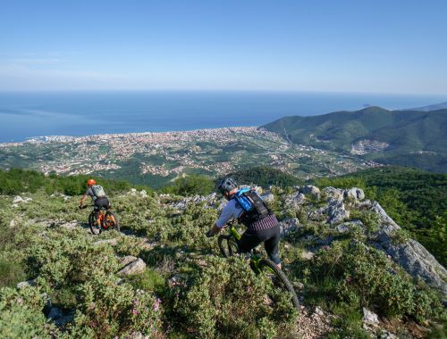 BLUE OCEAN: The Coast Tour 