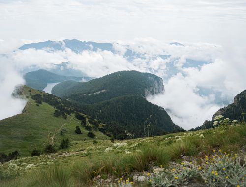BACKCOUNTRY CASTELVECCHIO "REVERSE"
