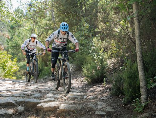 BACKCOUNTRY CASTELVECCHIO "REVERSE"