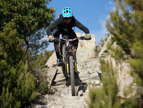 BLUE OCEAN: The Coast Tour 