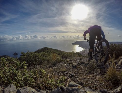 BLUE OCEAN: The Coast Tour 