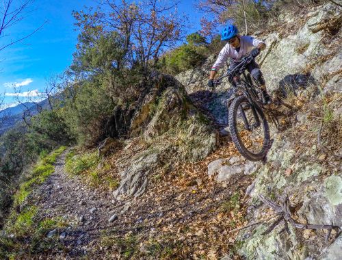 BLUE OCEAN: The Coast Tour 