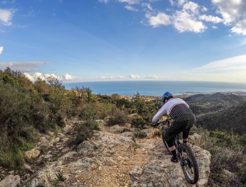 BLUE OCEAN: The Coast Tour 