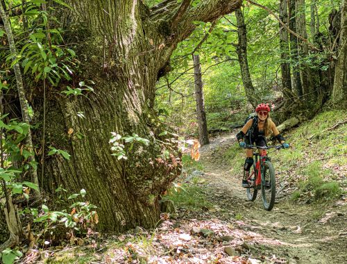 BACKCOUNTRY 2 OSIGLIA - ENDURO