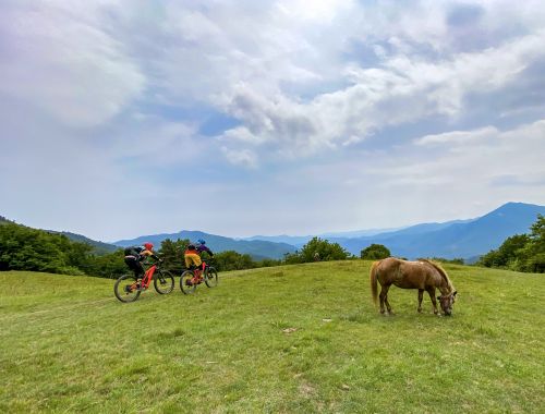 BACKCOUNTRY 1 CASTELVECCHIO - ENDURO