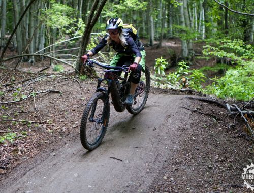 FINALE LEGENDS: The Essential Experience