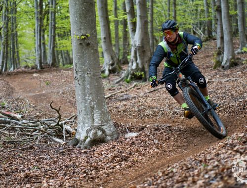 FINALE LEGENDS: The Essential Experience