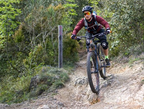 FINALE LEGENDS: The Essential Experience