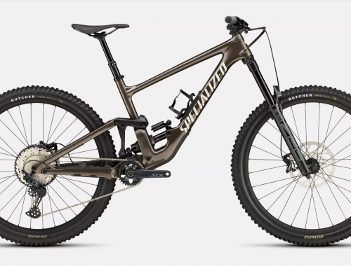 Specialized Enduro Carbon 2025