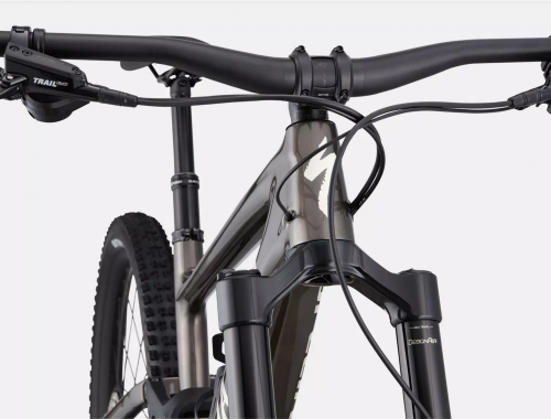 Specialized Enduro Carbon 2025