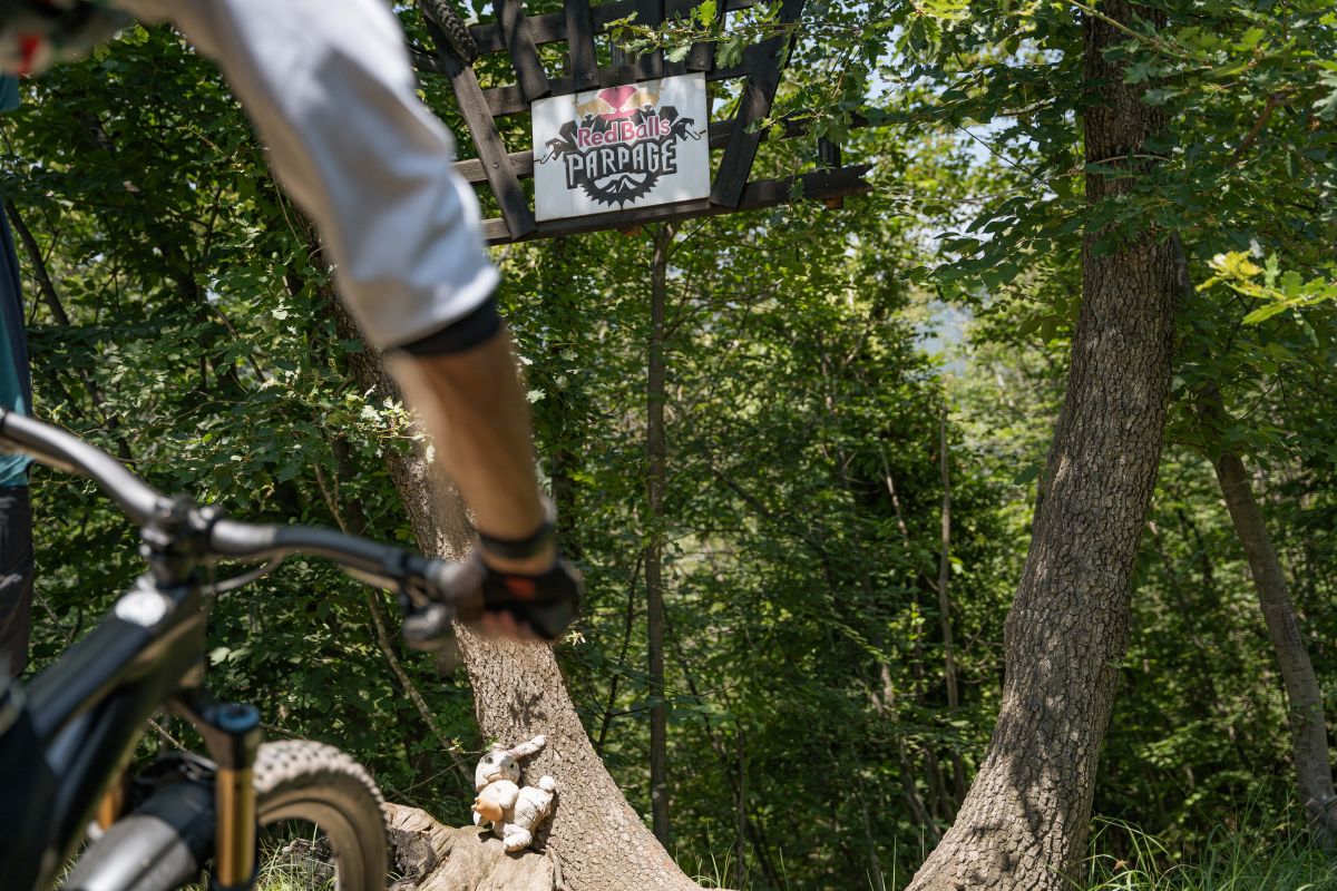 BACKCOUNTRY CASTELVECCHIO "REVERSE"